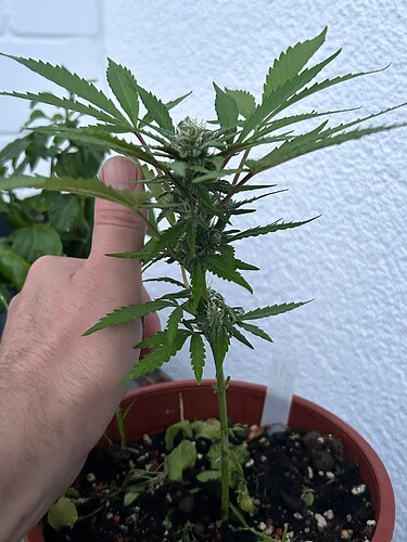 Growreport Bild 20