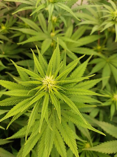 Growreport Bild 14