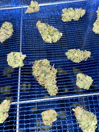 Growreport Bild 48