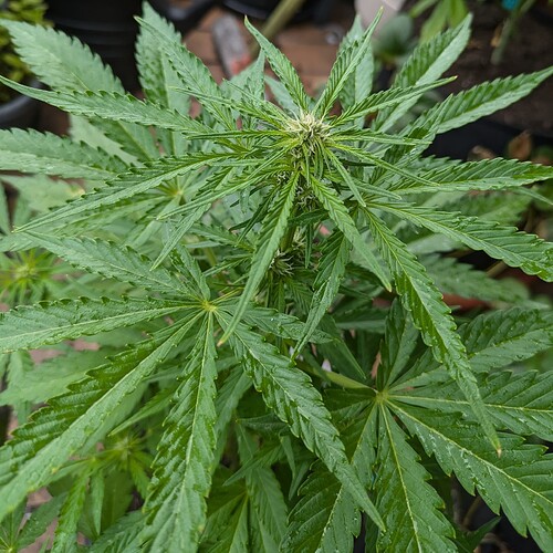 PXL_20240703_110332731