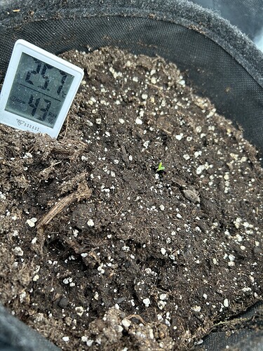 Growreport Bild 1