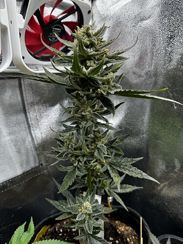 20240609_101951601_iOS