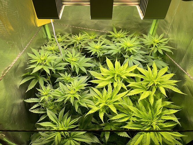 Growreport Bild 11