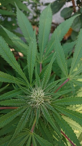 Growreport Bild 18
