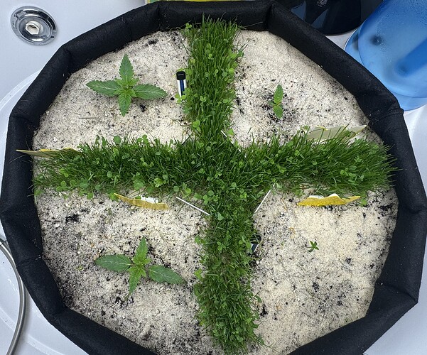 Growreport Bild 28