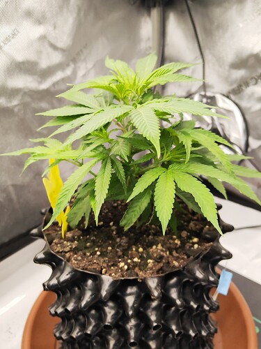 Growreport Bild 10