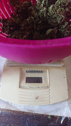 Growreport Bild 42