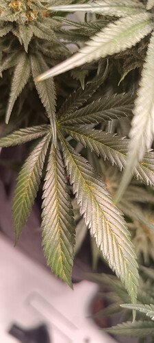 Growreport Bild 9