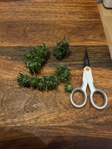 Growreport Bild 9