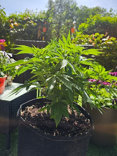 Growreport Bild 8