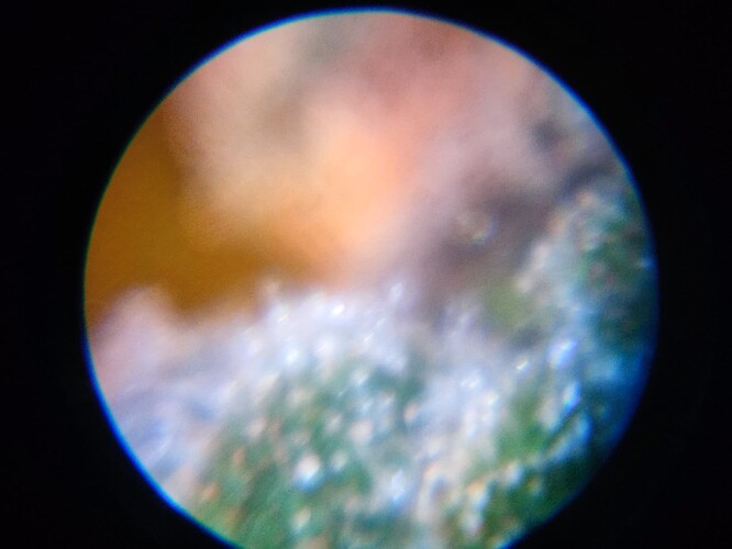 Growreport Bild 35