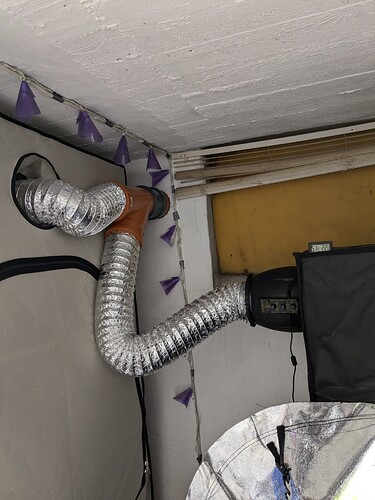 PXL_20240620_093119580