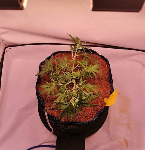 Growreport Bild 3