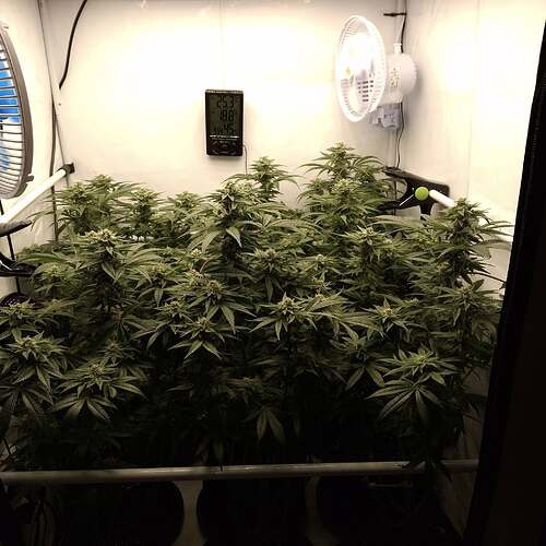 475423161_122166485642293599_8992657640344340152_n