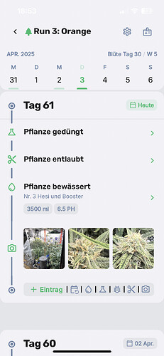 Growreport Bild 13