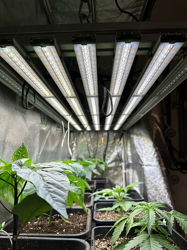 Growreport Bild 22