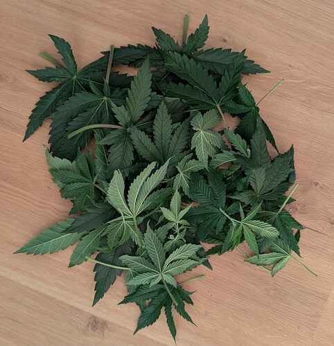 PXL_20250415_172524597.MP~2