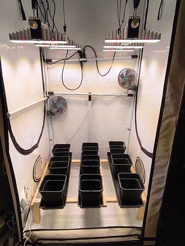 Growreport Bild 3