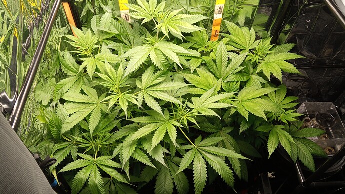 Growreport Bild 4