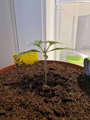 WhatsApp Image 2024-05-18 at 09.14.11 (1)