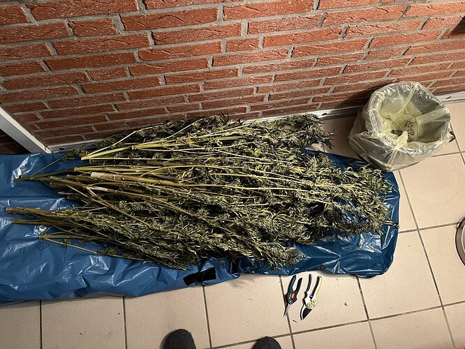 photo_2024-11-04_23-25-24