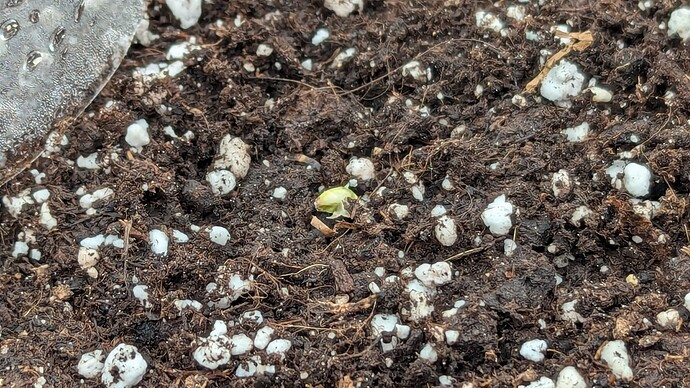 PXL_20240628_103925591