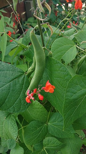 Growreport Bild 15