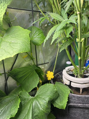 Growreport Bild 12
