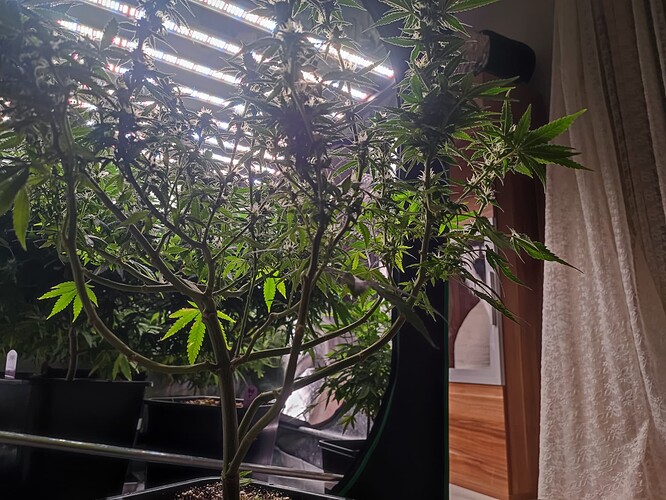 Growreport Bild 11