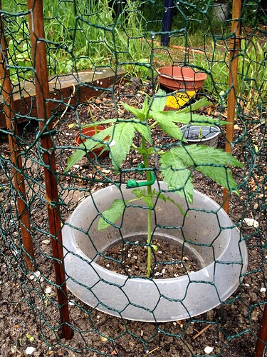 Grow25_0525_4
