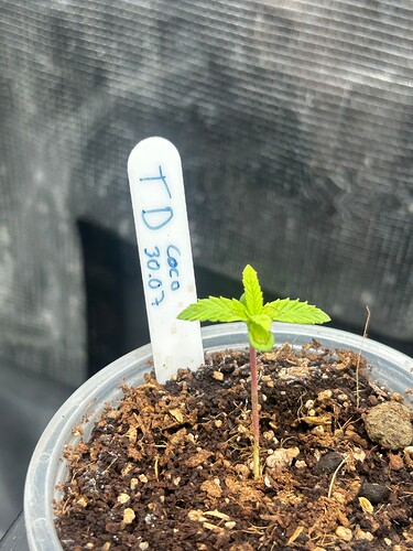 Growreport Bild 16