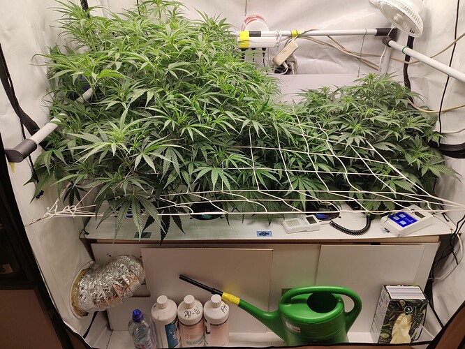 Growreport Bild 13