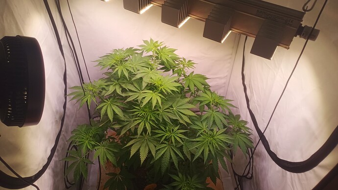 Growreport Bild 5