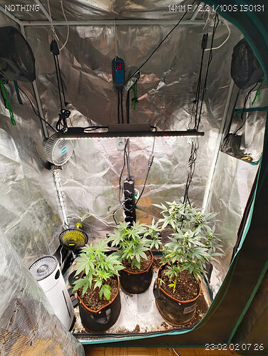 Growreport Bild 1