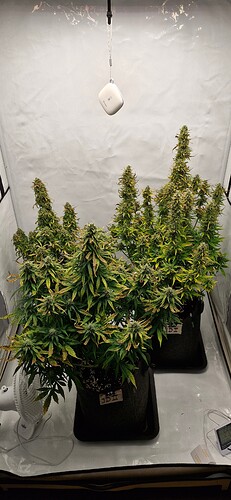 Growreport Bild 5