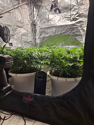 Growreport Bild 7