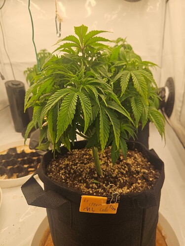 Growreport Bild 20