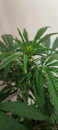 Growreport Bild 16