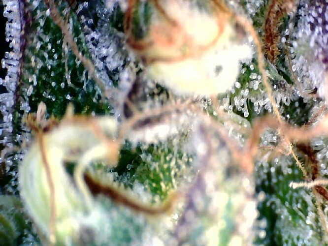 Growreport Bild 22