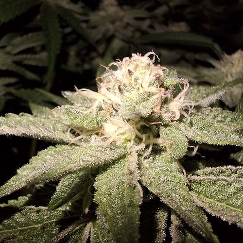 476356544_122166565244293599_6093304734941570531_n