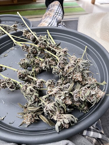 Growreport Bild 17