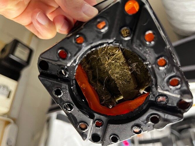 Super_Lemon_Haze2_Wurzeln_1