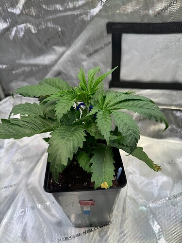 Growreport Bild 15