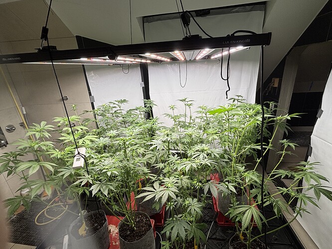 Growreport Bild 15