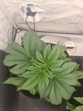 Growreport Bild 6
