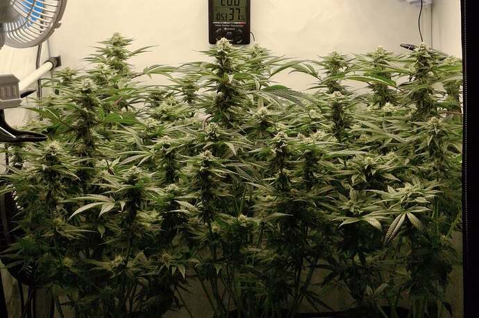 475496833_122166332240293599_4881566803854286616_n