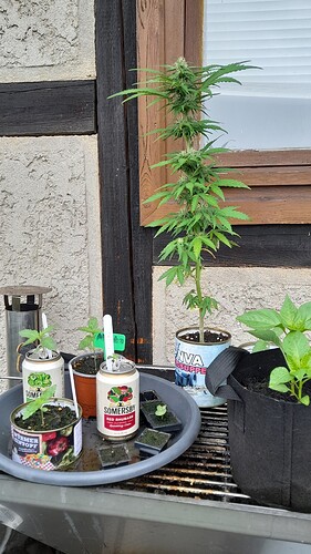 Growreport Bild 10