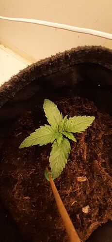 Growreport Bild 22