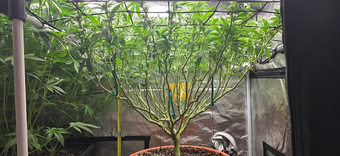 Growreport Bild 28