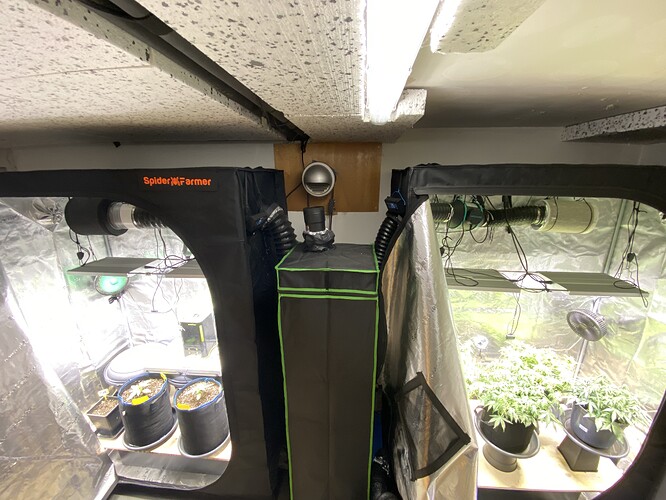 Growreport Bild 14